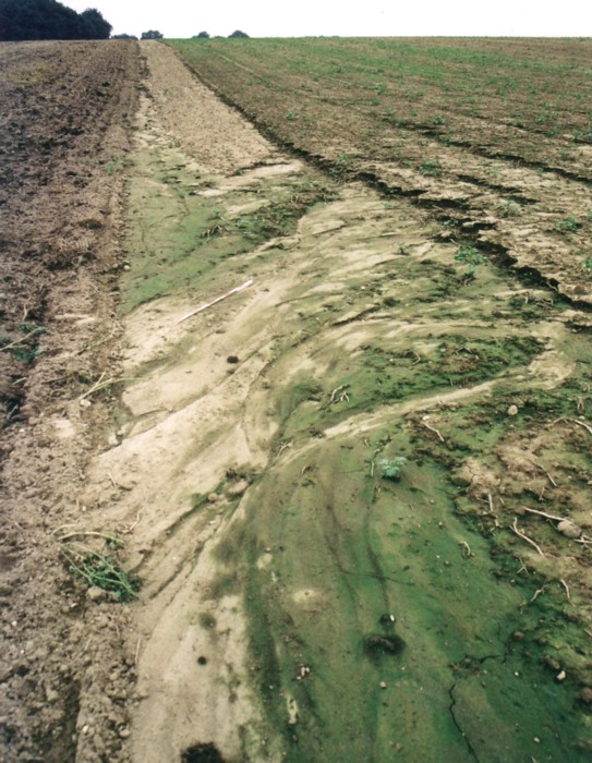 Wassererosion eines degradierten Bodens